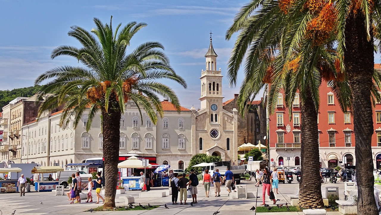 croatia, split, nature, historic center, europe, summer, palm trees